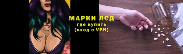 СК Алексин
