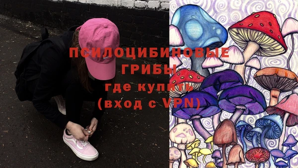 прущий лед Алзамай