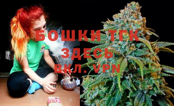 прущий лед Алзамай